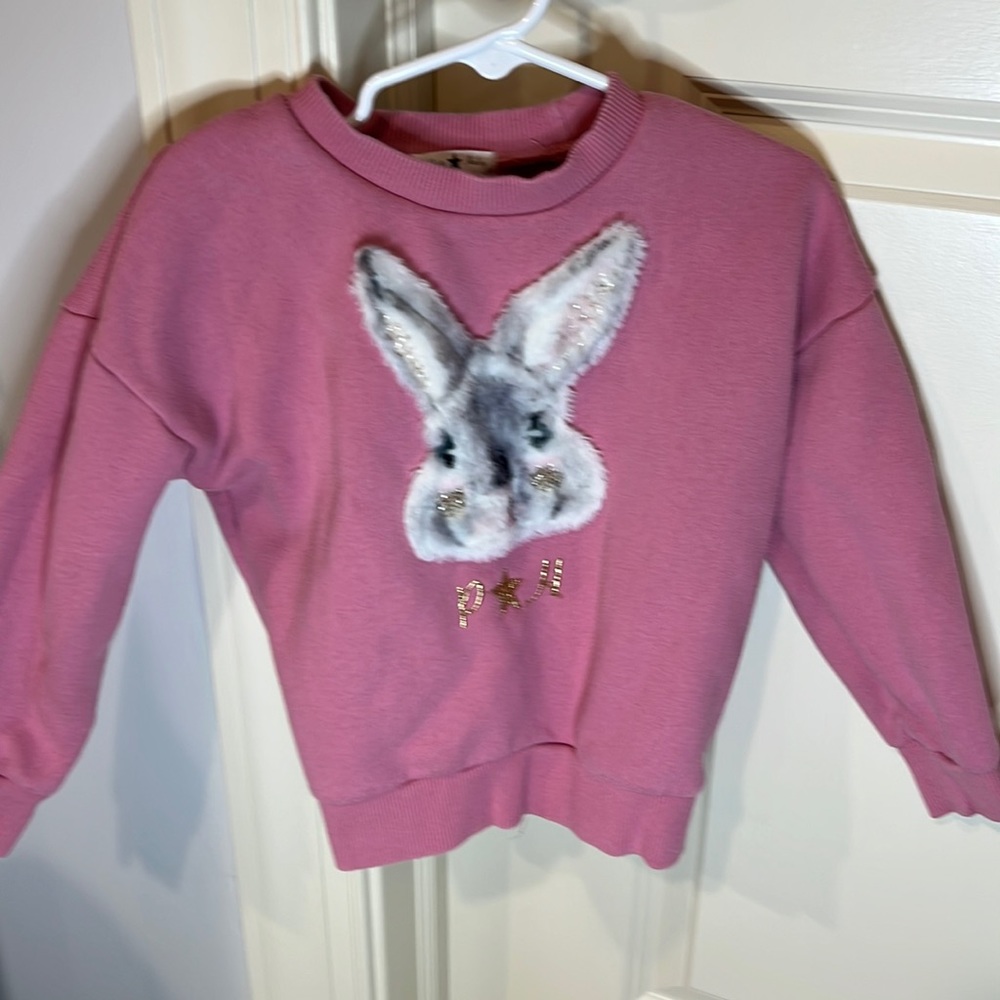 Comfy and cute bunny rabbit sweatshirt